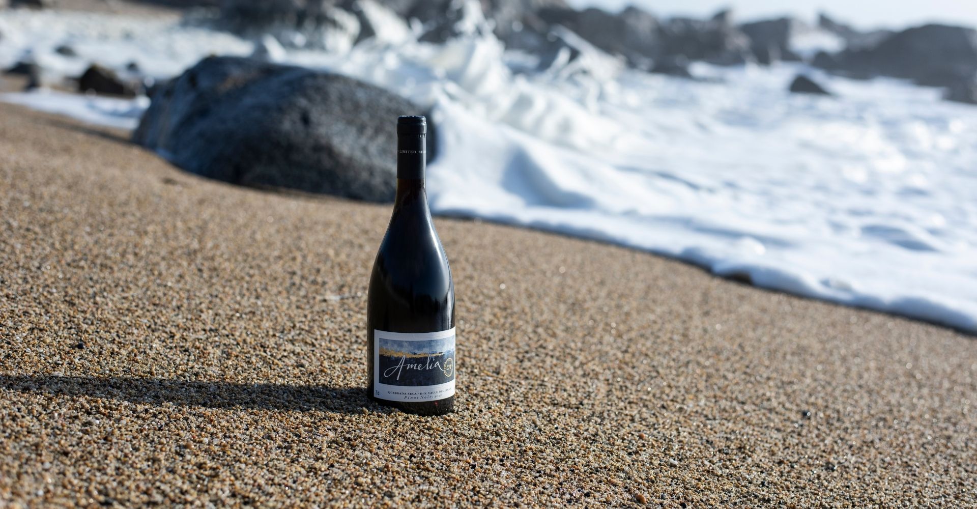 Amelia Pinot Noir es distinguido como “Editor’s Choice” por Wine Enthusiast