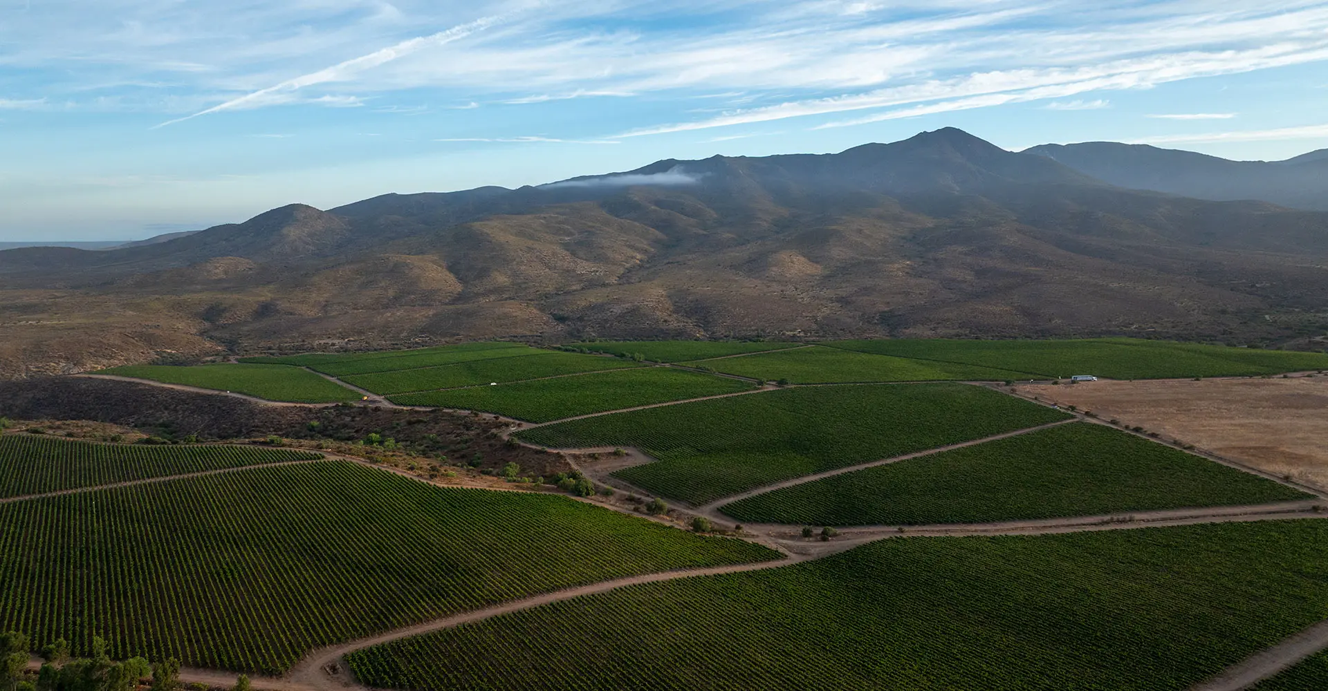 Amelia Quebrada Seca Pinot Noir: moldado pelo extremo norte do Chile