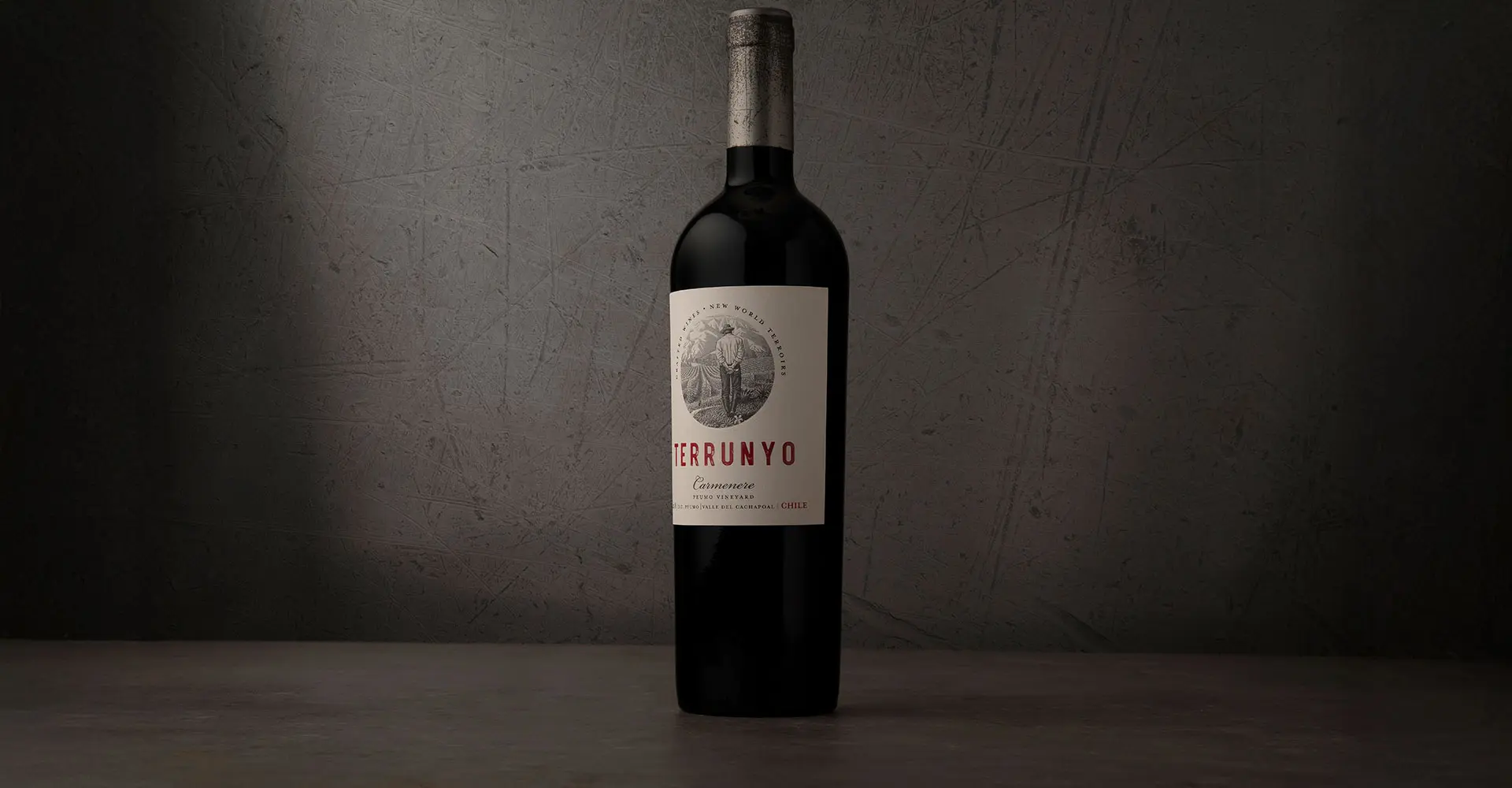 Terrunyo Carmenere es protagonista en Premium Tasting Chile 2026