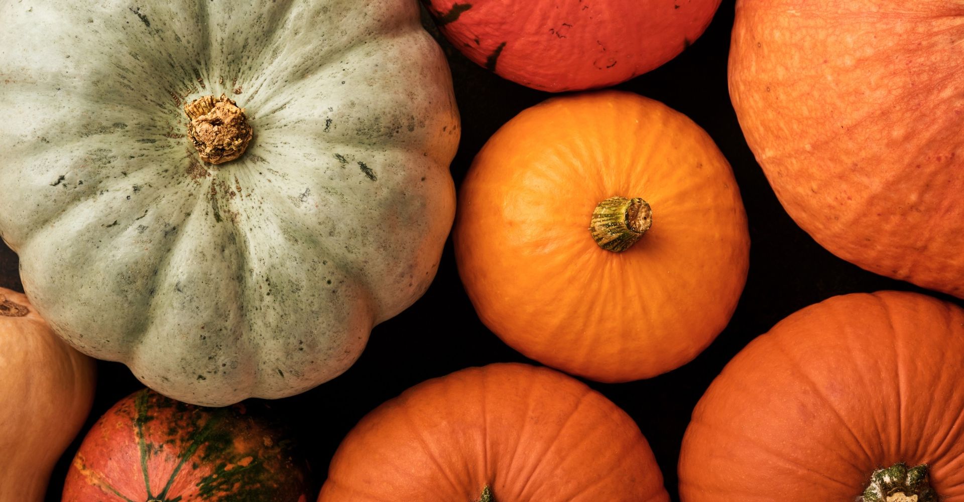 Calabazas, zapallo