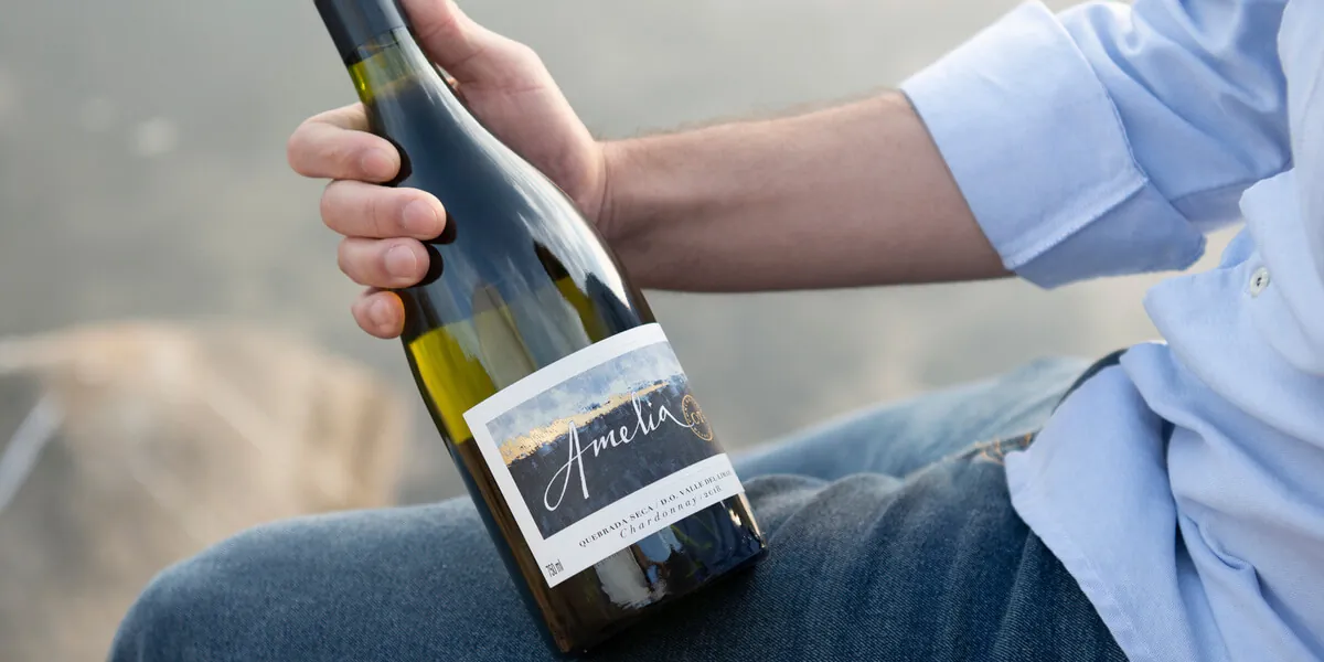 Tim Atkin awards excellent scores to Concha y Toro wines