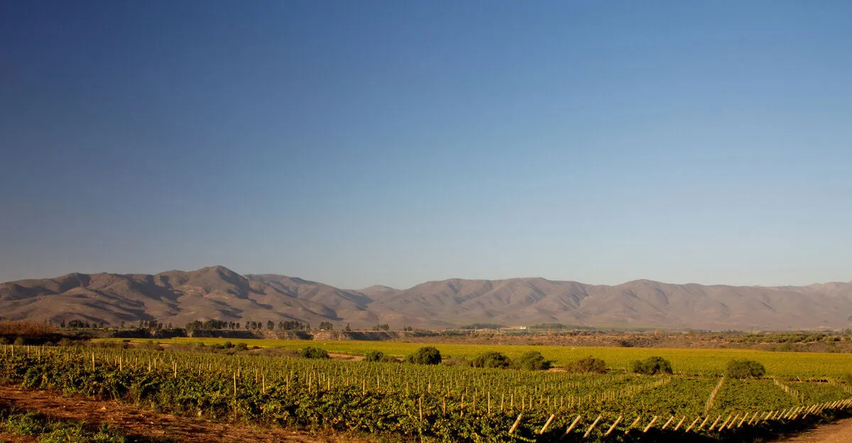 What does Denomination of Origin mean?