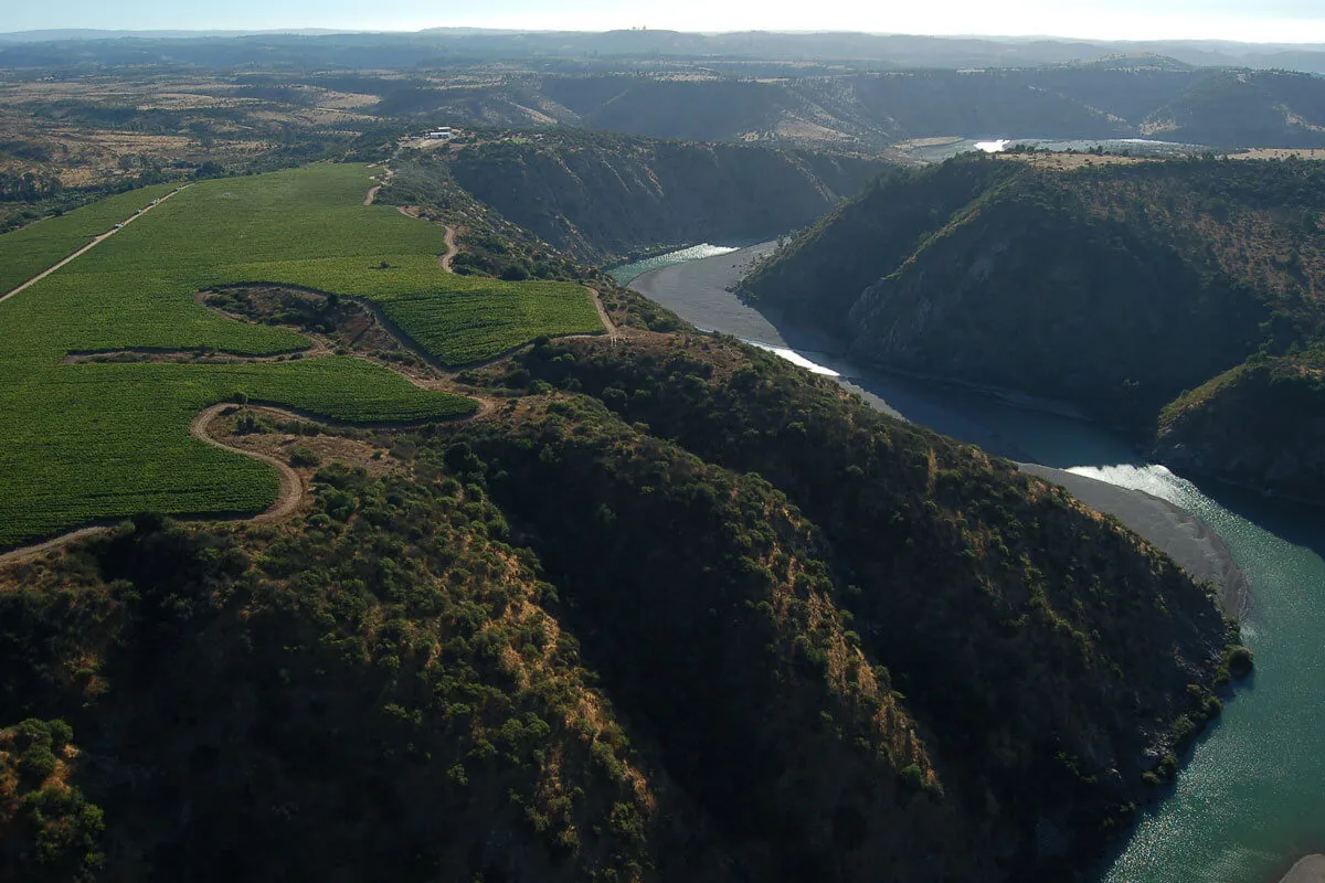 vinedoucuquer