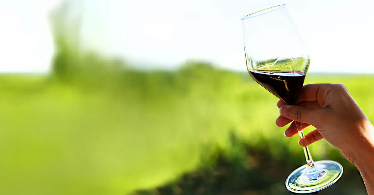 The art of blending wine