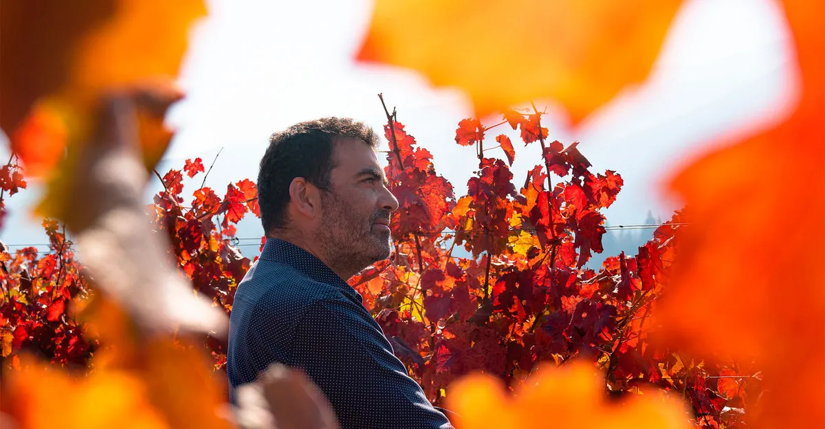 Marcio Ramírez, vinte safras na terra do Carménère