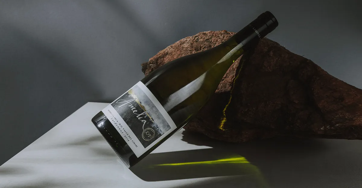 Amelia is named Chile’s Best Chardonnay by Decanter