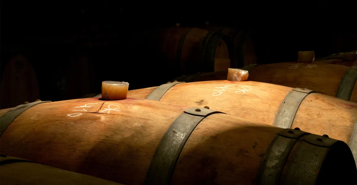 What is malolactic fermentation?