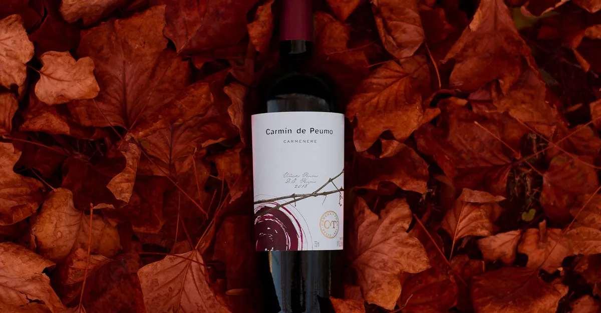 Carmín de Peumo considered one of Chile’s best Carmeneres by Patricio Tapia