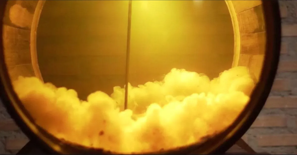 The wine lees, what are they and what are they for?