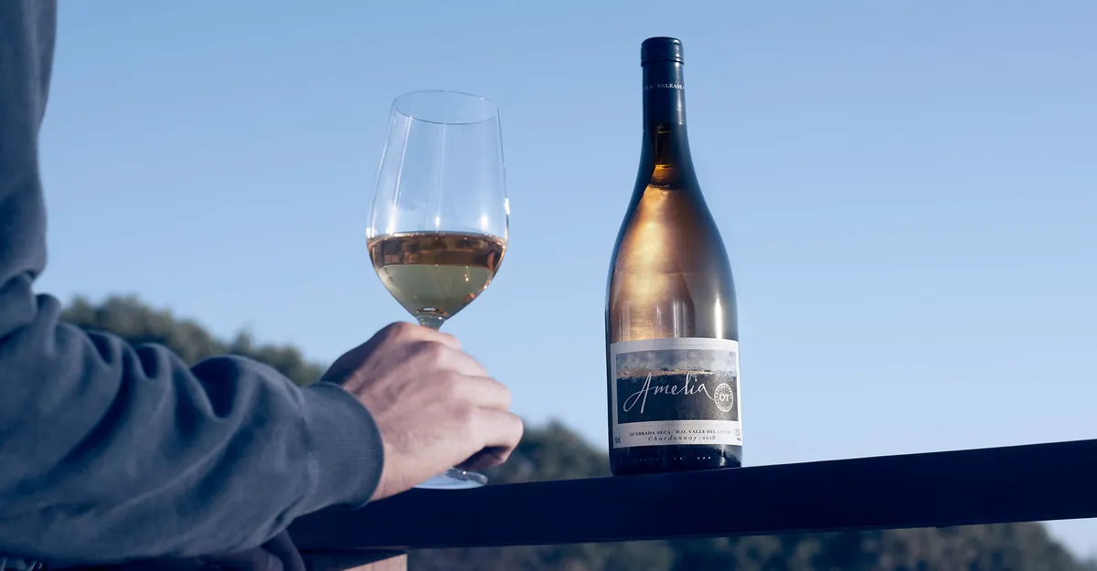 The Drinks Business highlights Amelia Chardonnay