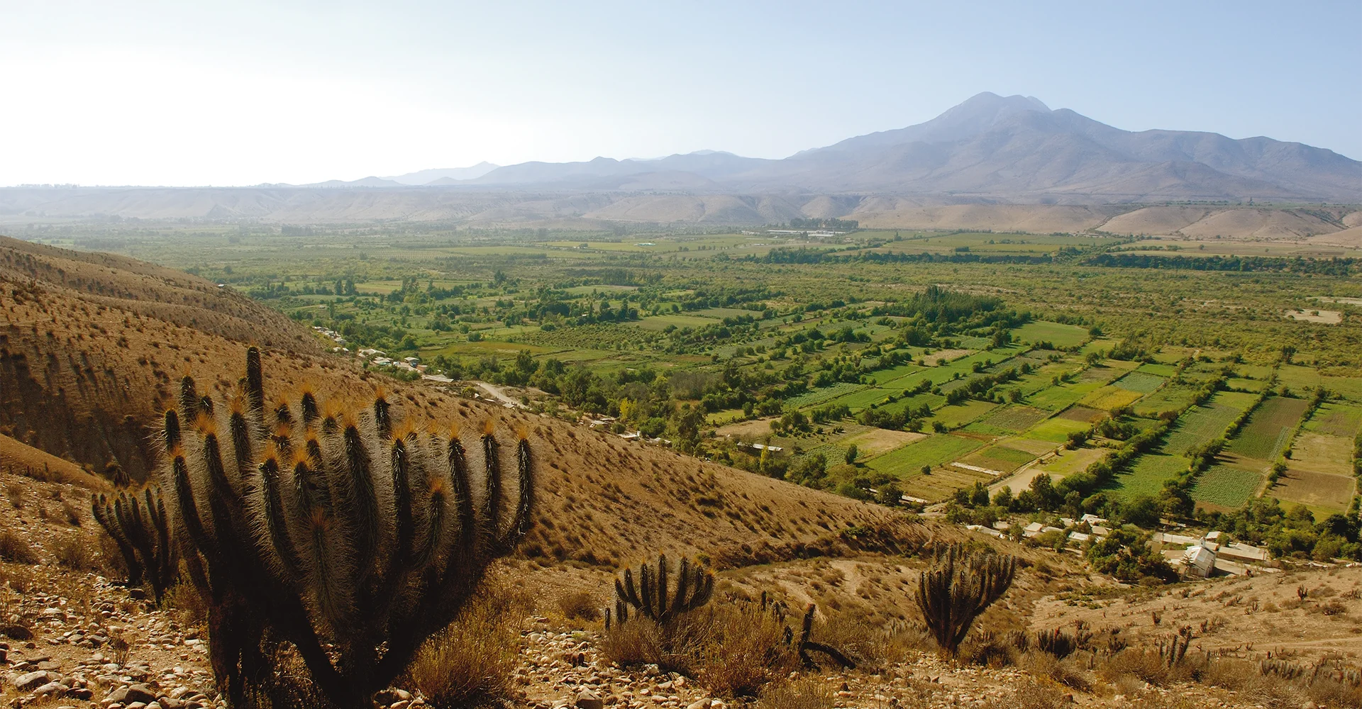 A extrema beleza do vale do Limarí