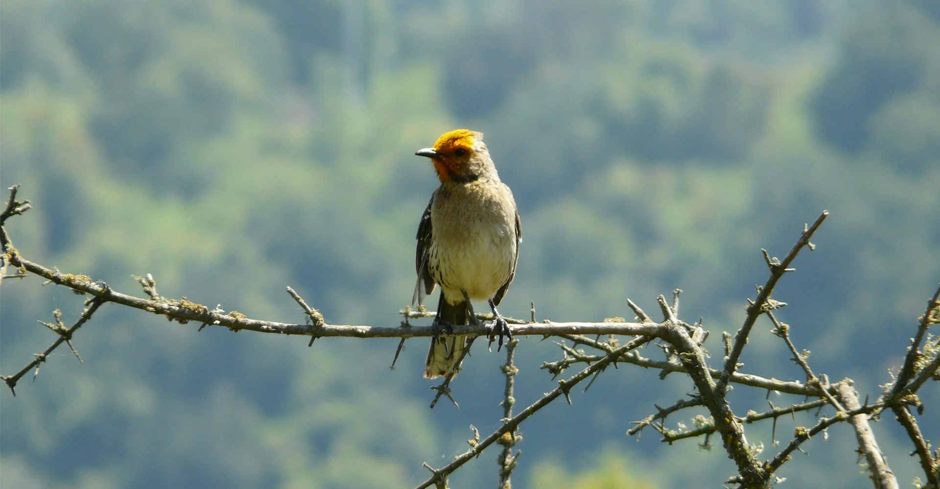 Concha y Toro recibe certificación de APL Cero Residuos a Eliminación