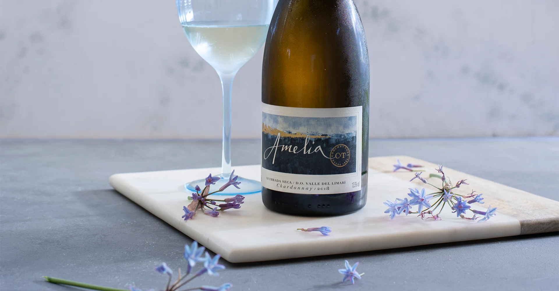 Tim Atkin gives top scores to Concha y Toro wines