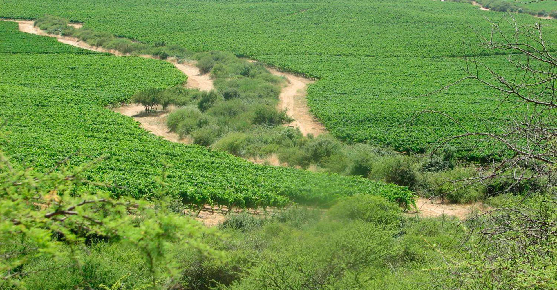 Celebramos nuestro primer año como Empresa B