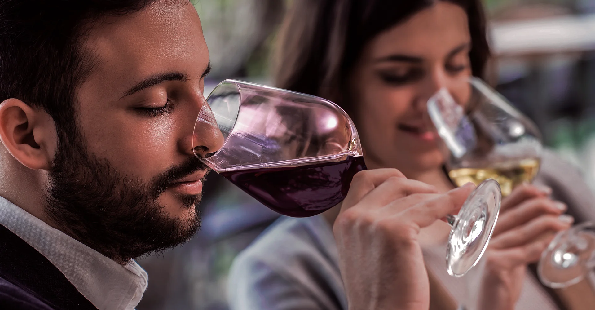 ¡Te presentamos nuestro nuevo tour Cellar Collection!