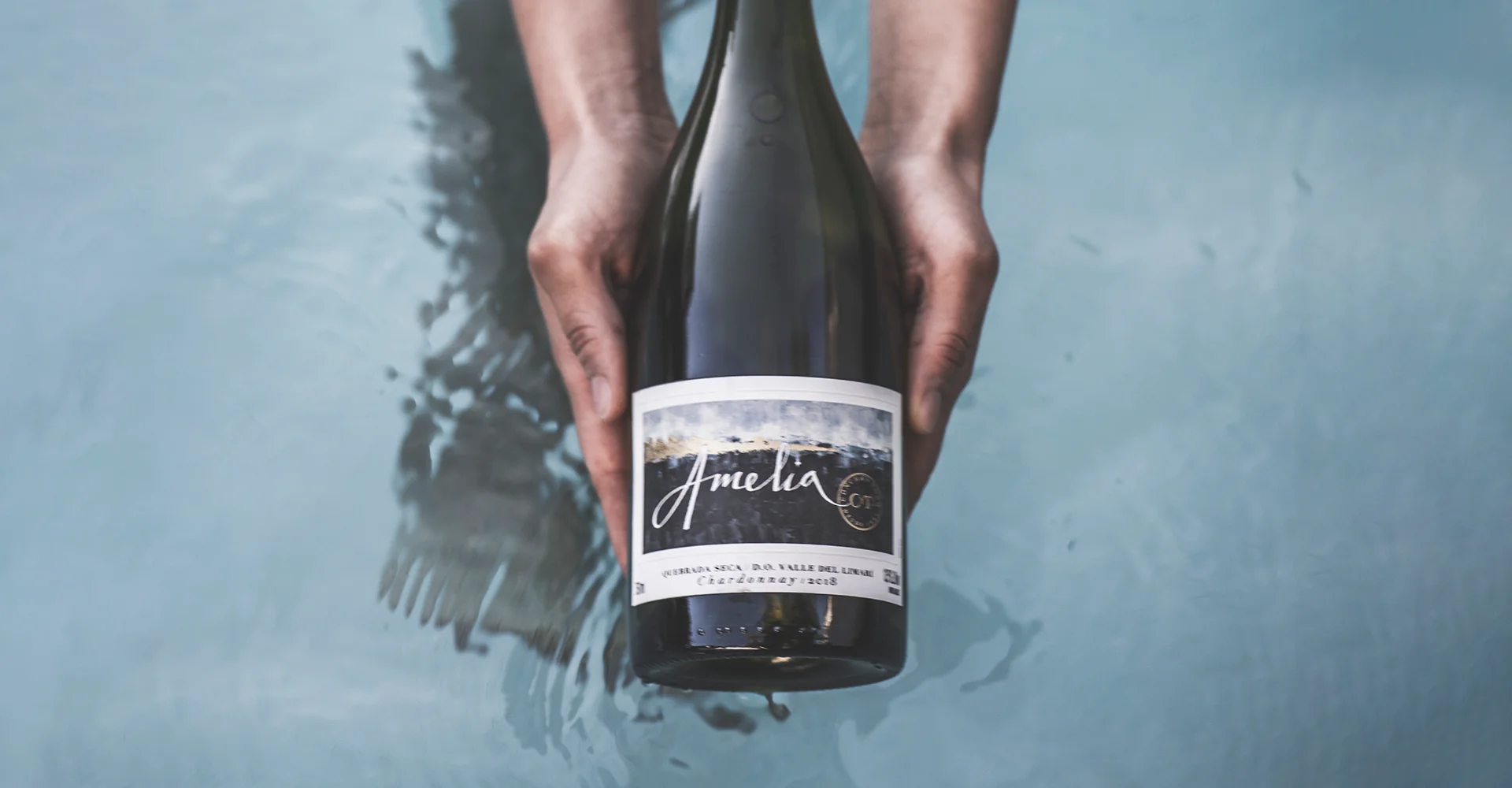 Excellent scores for Concha y Toro wines at Vinous