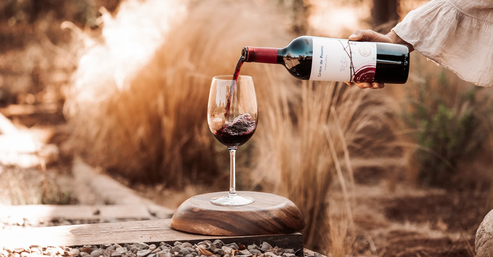 O que são taninos e qual é a função deles no vinho?