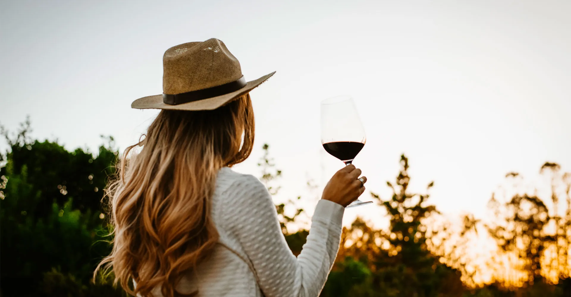 Dia do Vinho Chileno: mais de 500 anos de história e patrimônio