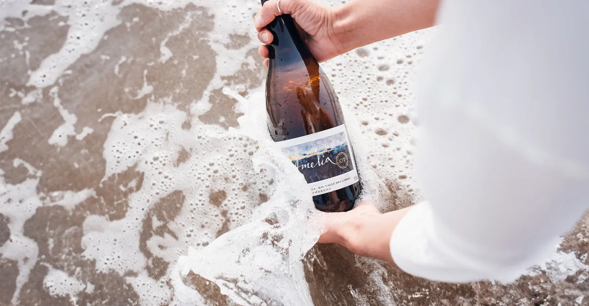 The Drinks Business highlights Amelia Chardonnay 2021 among Chile’s “7 wonderful white wines”