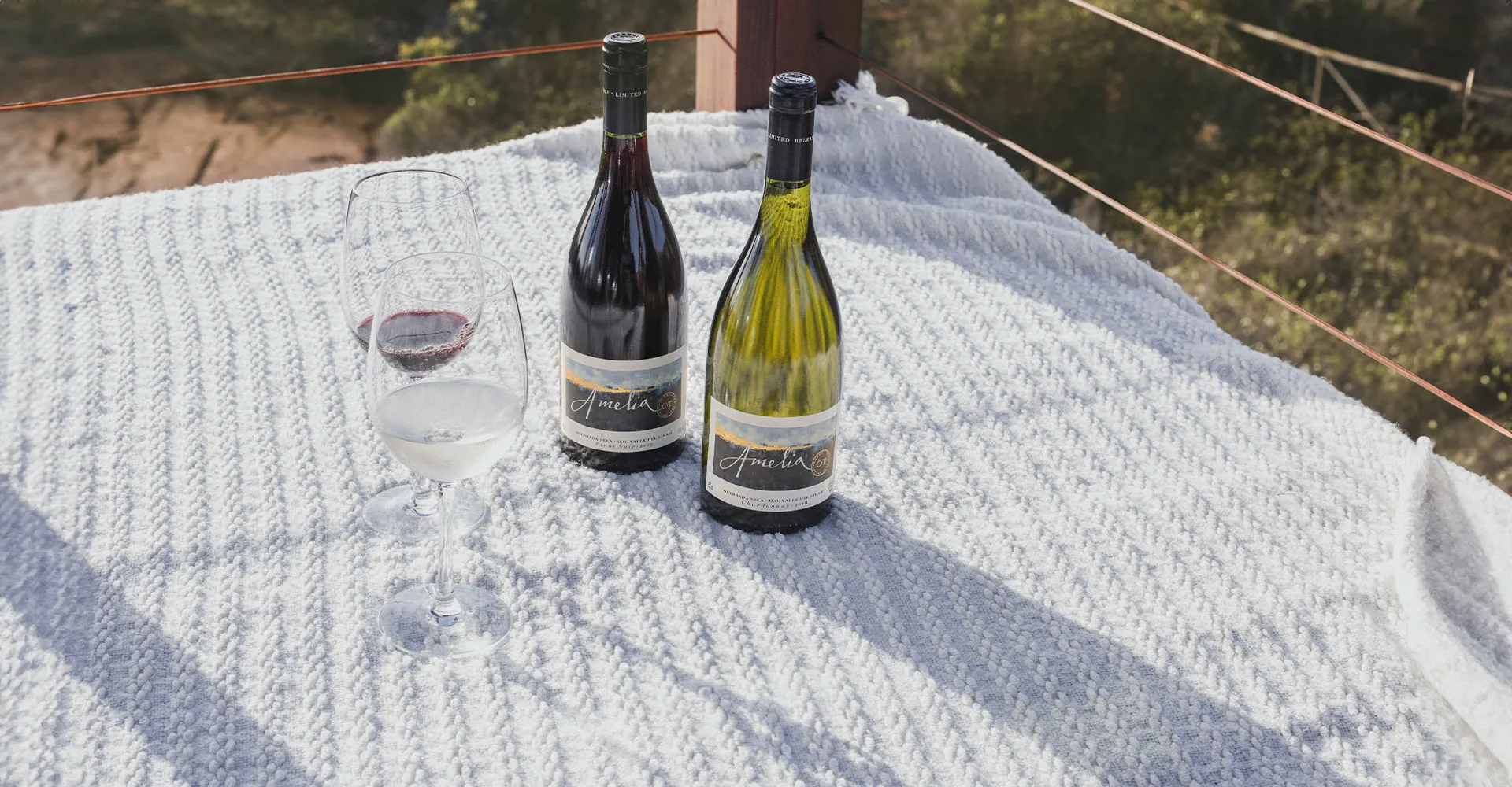 Patrick Schmitt MW awards excellent scores to our Amelia line