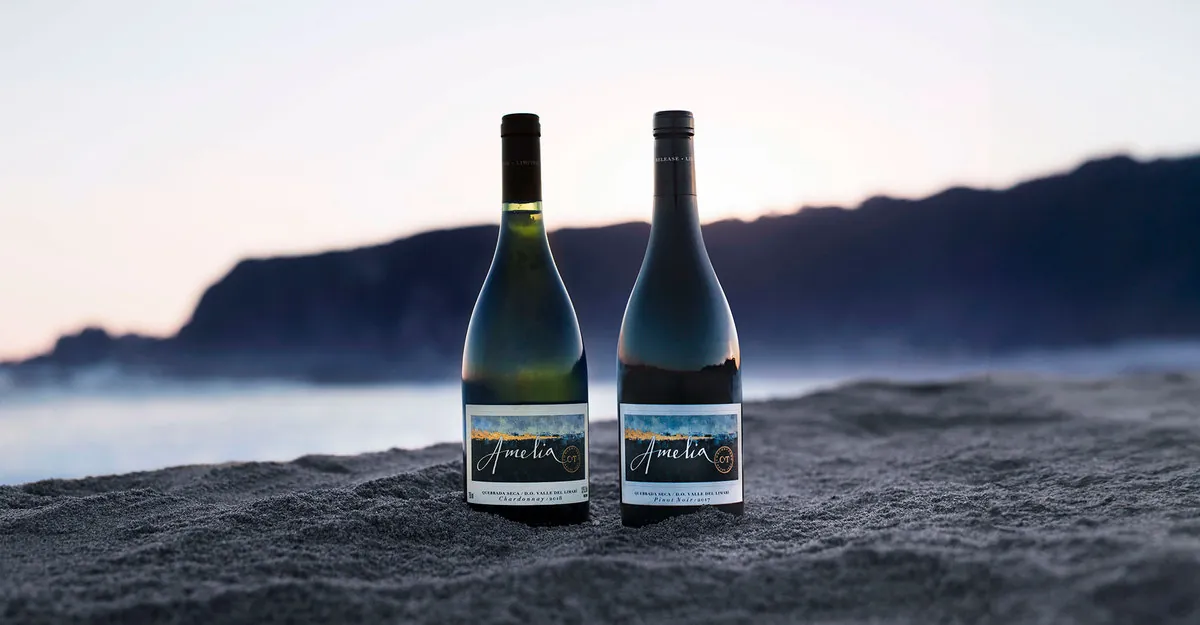 Decanter highlights Amelia among its November wine selection