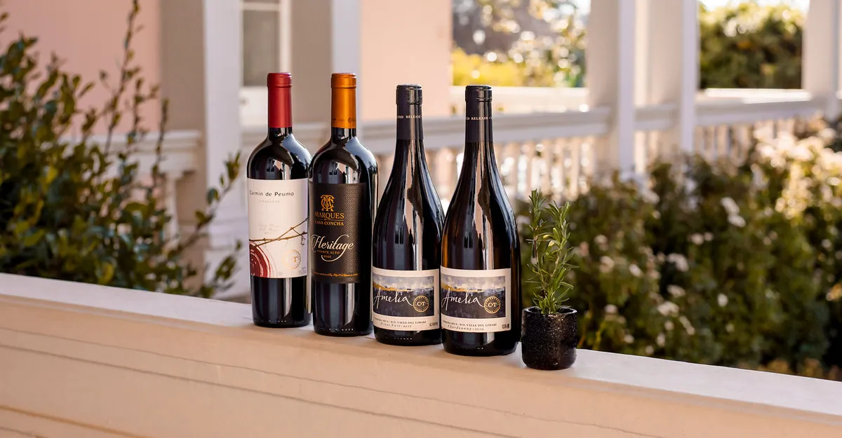 Concha y Toro is awarded with outstanding recognitions in  Descorchados 2024