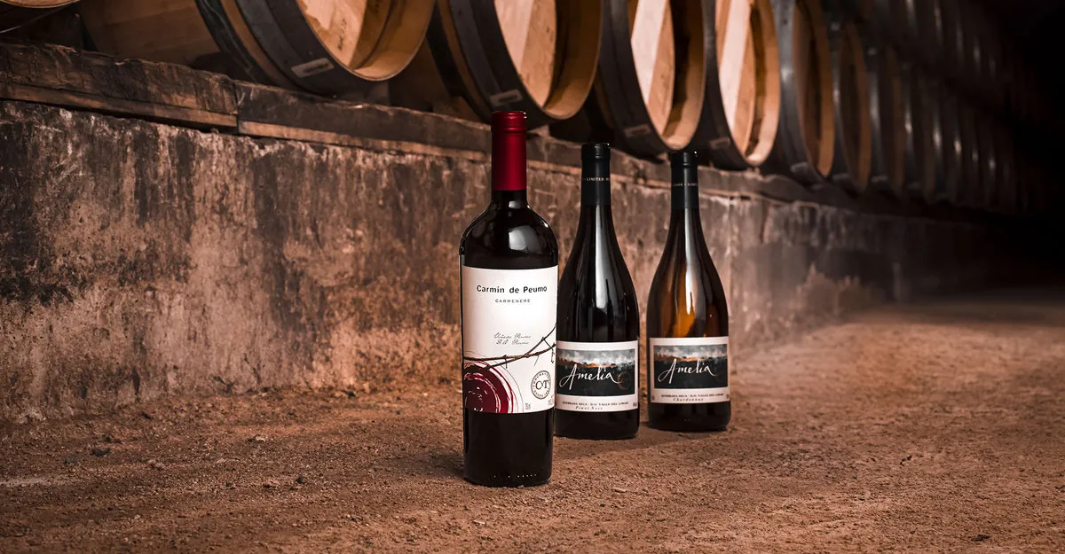 James Suckling recognizes three of our wines among the Top 100 Wines of Chile 2023