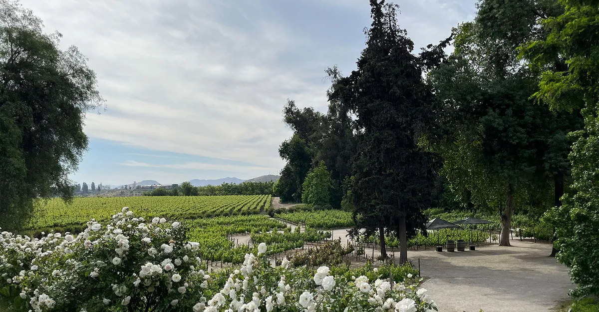 Concha y Toro ranks among the Top 100 premium wine brands in the world