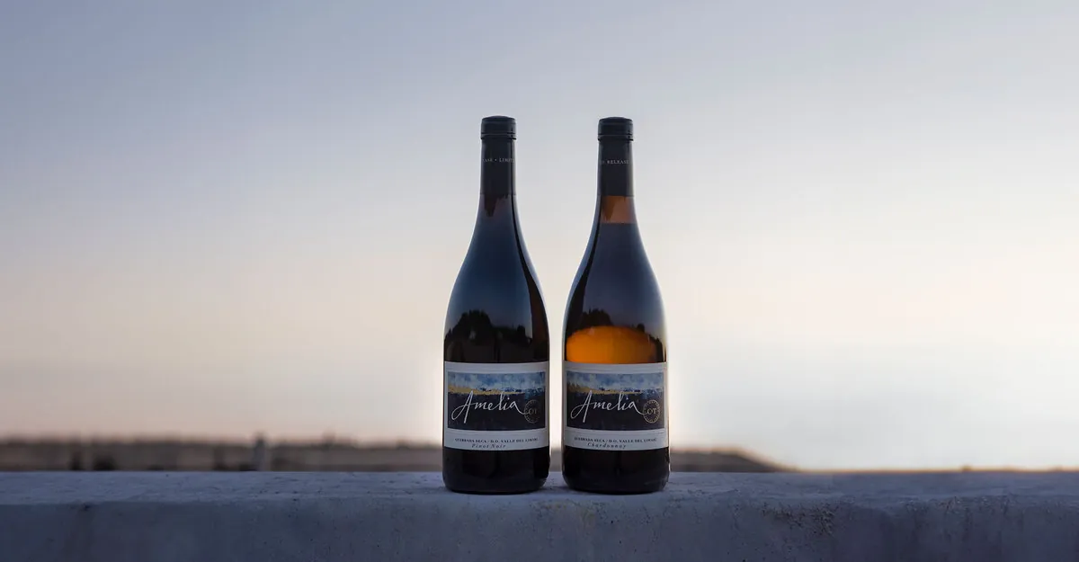 Amelia obtains its highest score yet in Wine Spectator