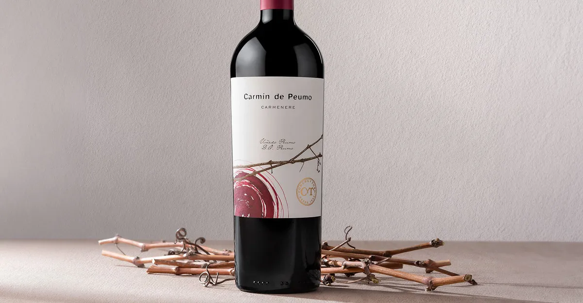 Carmín de Peumo 2021 receives extraordinary 93 points in Wines Spectator