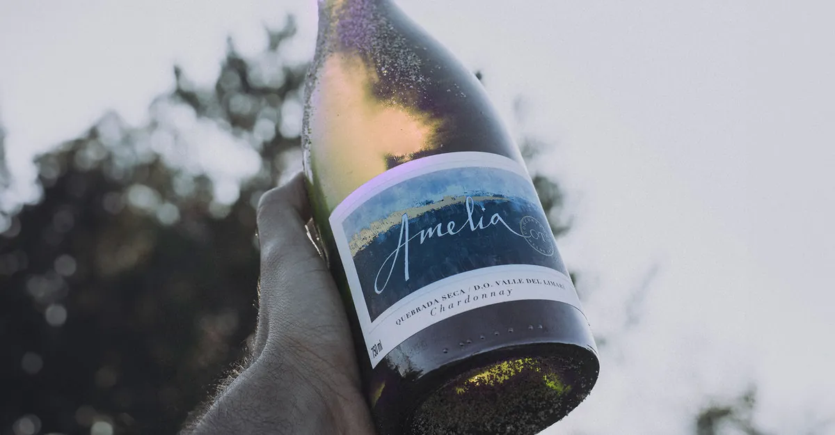 James Suckling awards high scores to Concha y Toro