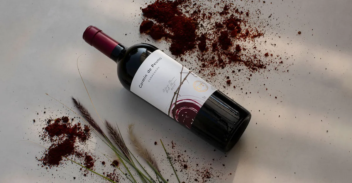 Tim Atkin gives excellent scores to Viña Concha y Toro