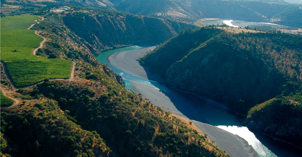 A Viña Concha y Toro é protagonista de um estudo de caso internacional por suas práticas sustentáveis.