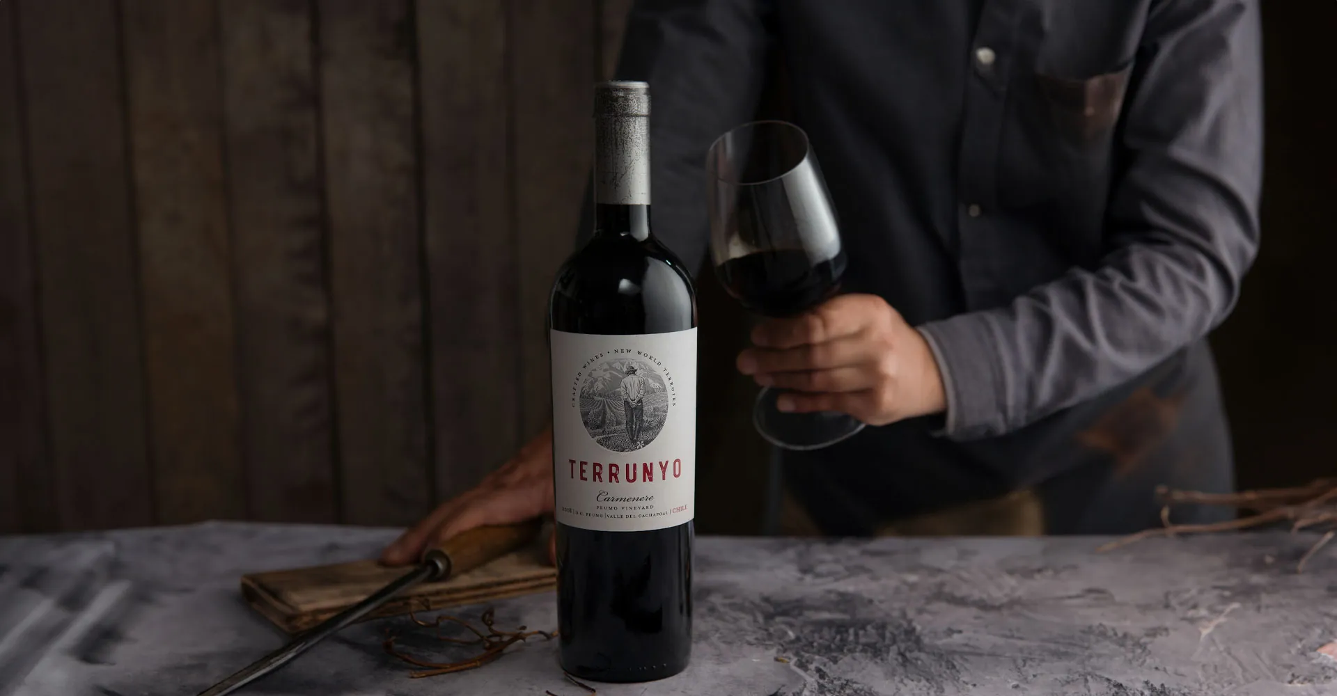 Terrunyo Carmenere dazzles with 95 points and a Gold Medal
