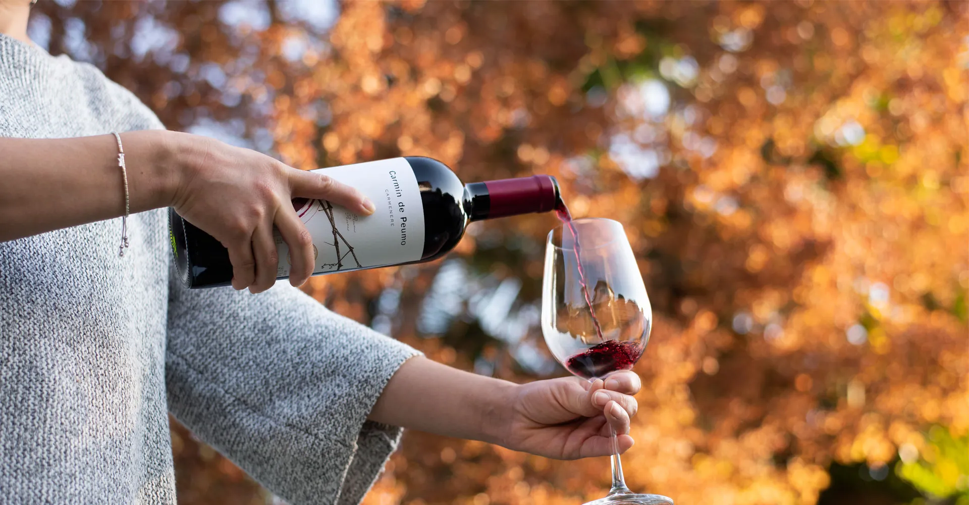 Concha y Toro wines stand out in latest Vinous report