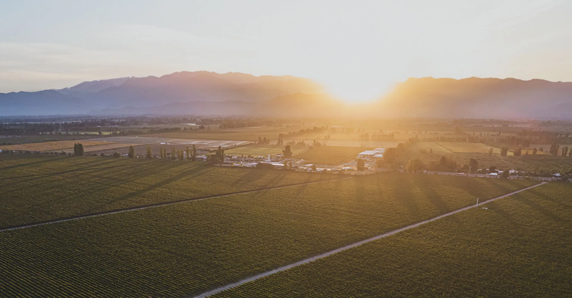 Viña Concha y Toro renew their commitment as a B Corps