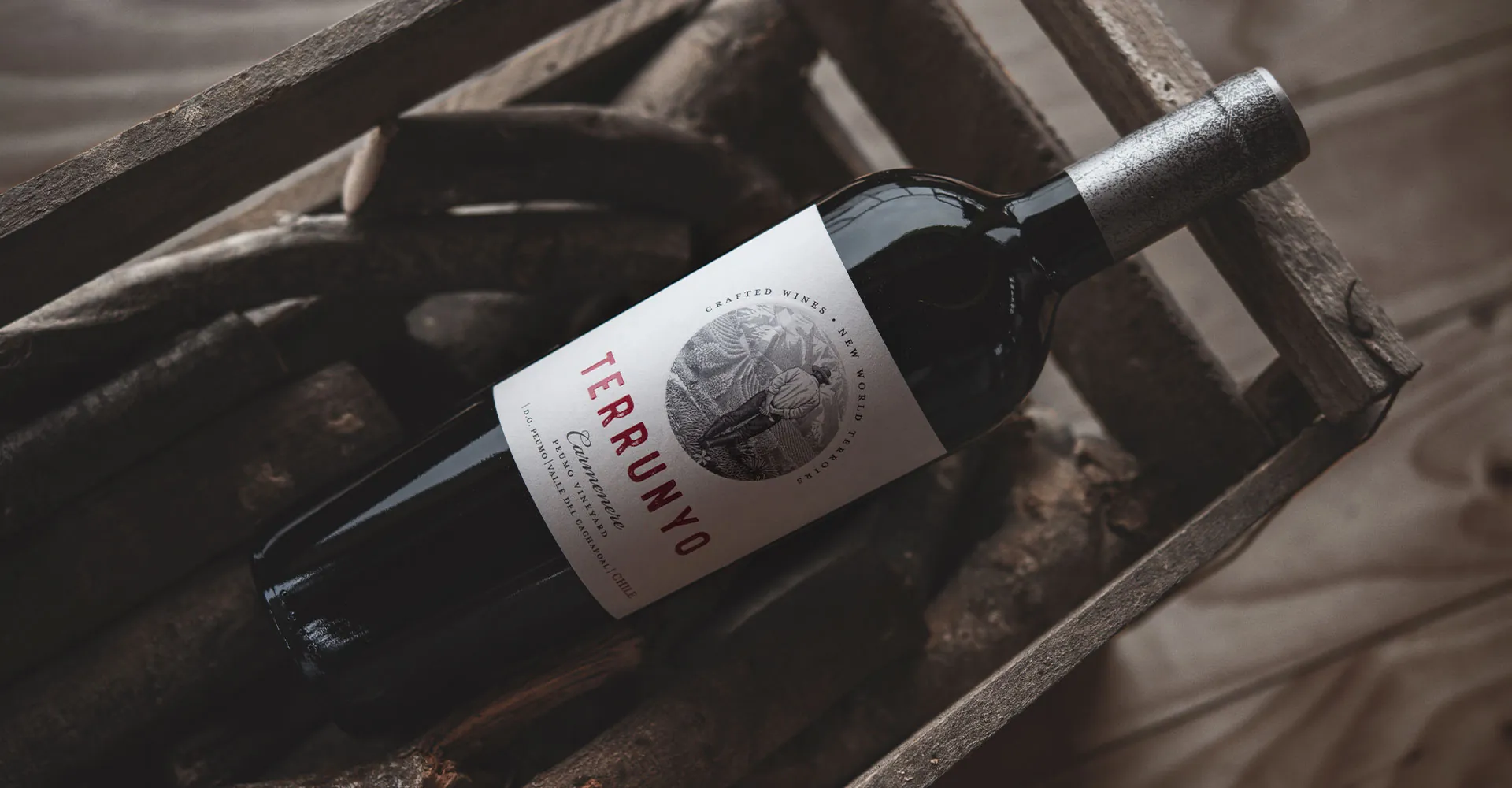 Decanter destaca o Terrunyo Carménère com 95 pontos e medalha de ouro
