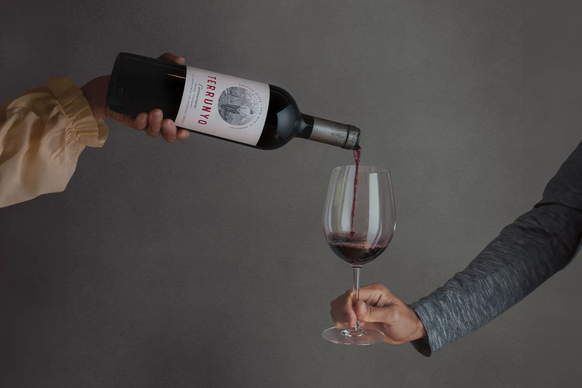 Decanter destaca con 95 puntos y Medalla de Oro a Terrunyo Carmenere