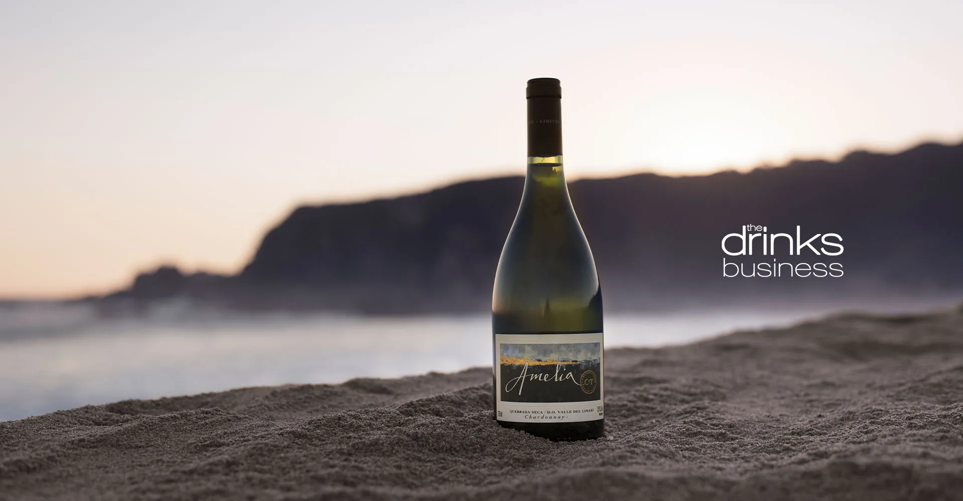 Amelia Chardonnay 2023 achieves an impressive 96-point rating in the 2024 Chile Report published by The Drinks Business