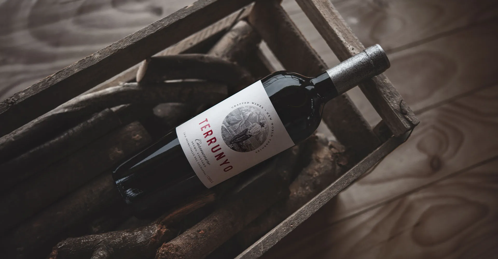Terrunyo Carmenere 2022 es destacado entre los “Vinos del Año 2024” por los Masters of Wine Susie Barrie y Peter Richards