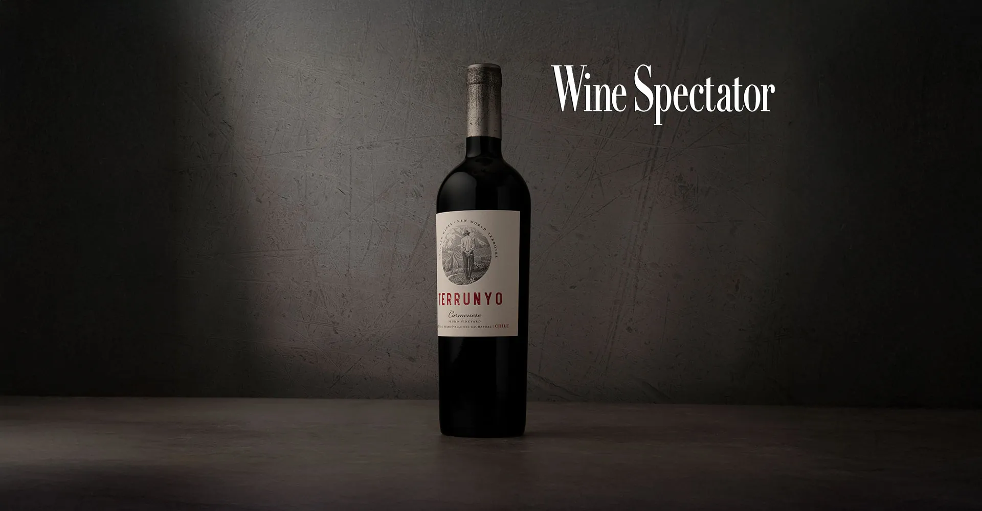 Terrunyo Carmenere 2022 recibe extraordinarios 93 puntos en Wine Spectator