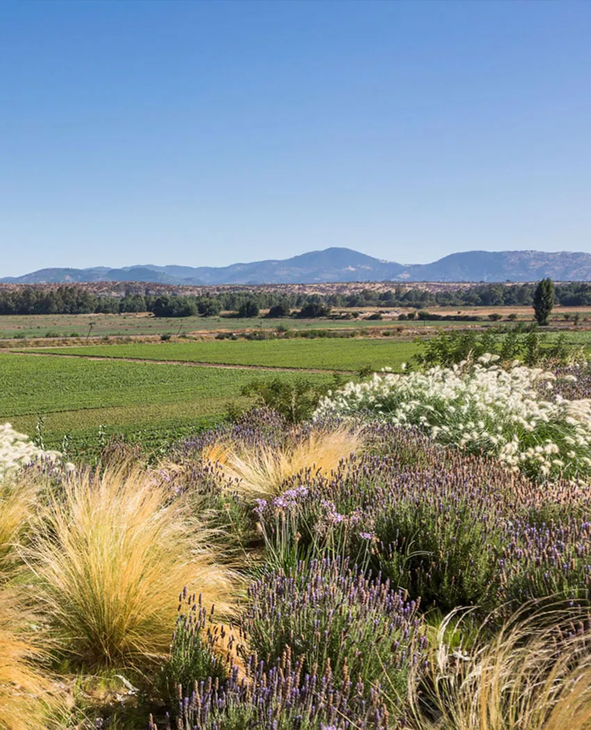 Corredores biologicos, sustentabilidad