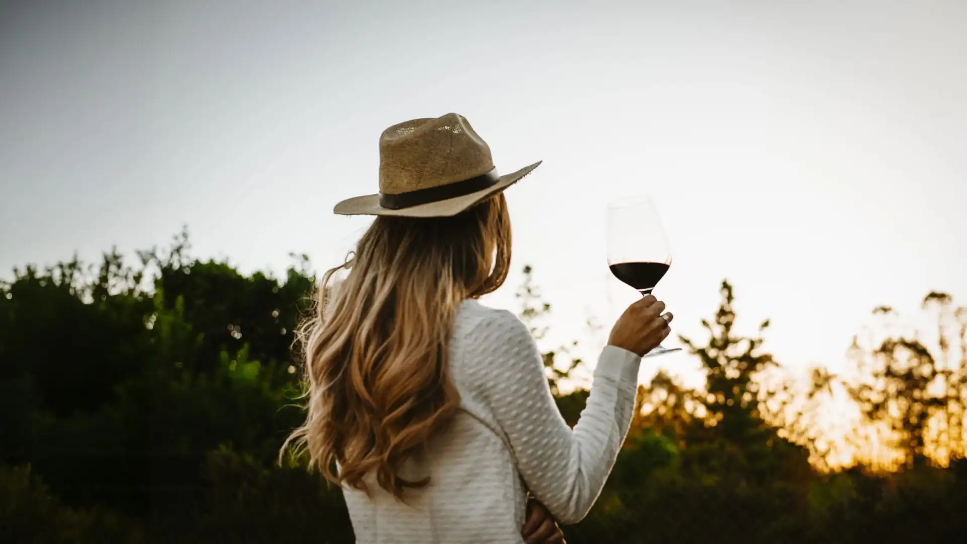 Nossos Vinhos
