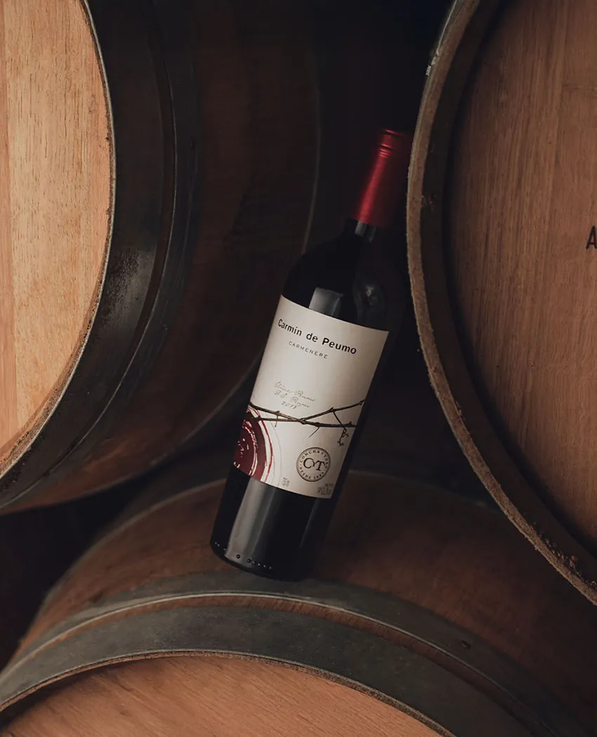 Carmín de Peumo, excelencia