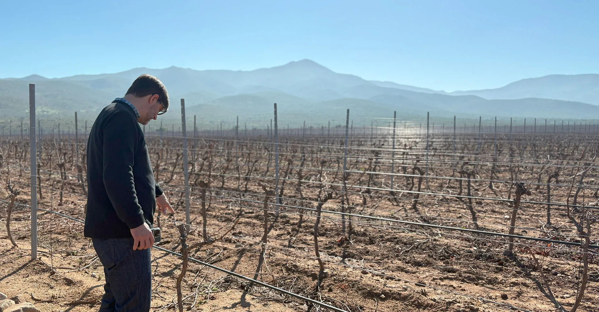 Joaquín Hidalgo degusta las nuevas cosechas de Amelia