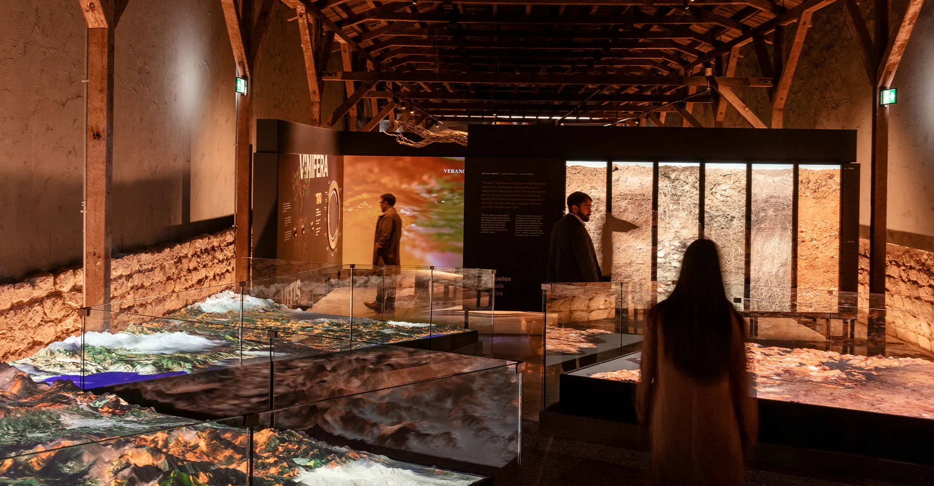 Concha y Toro Unveils New Centro del Vino, Aiming to Position Chile on the Global Wine Tourism Stage