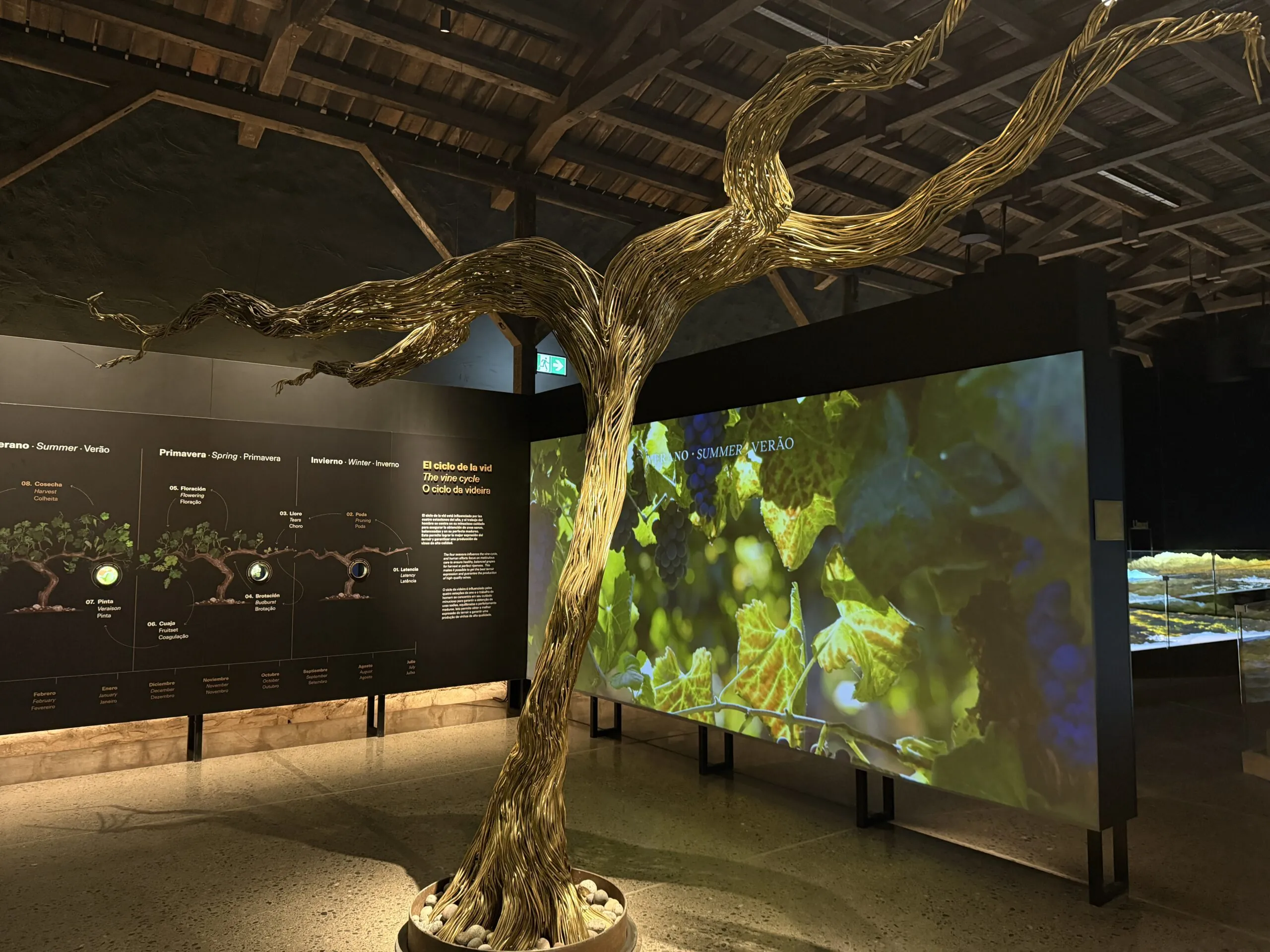 Seis zonas e experiências transformadoras: a nova proposta enoturística que o Centro del Vino Concha y Toro oferece aos seus visitantes