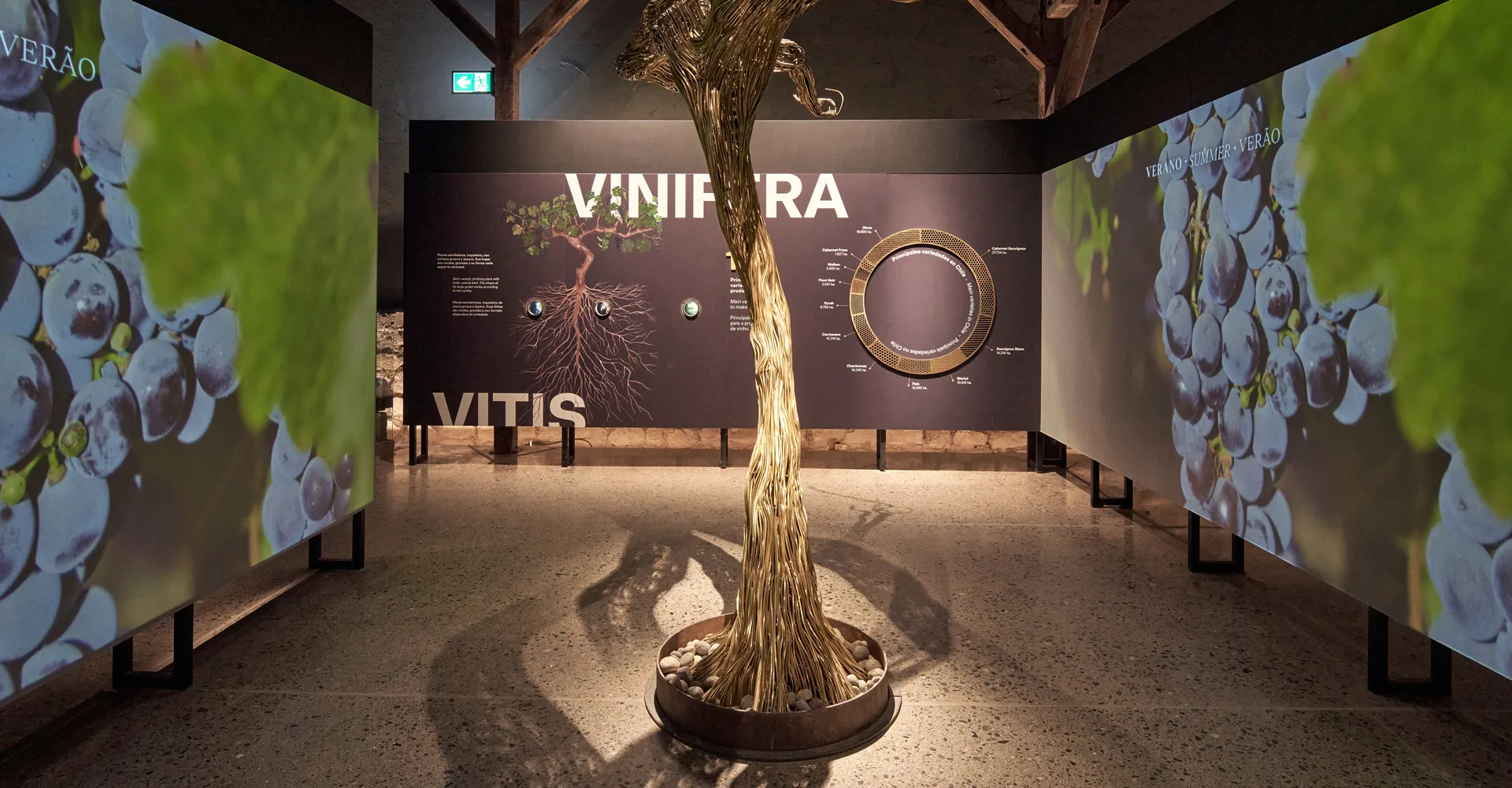 Centro del Vino Concha y Toro wins Chile Diseño 2025 award