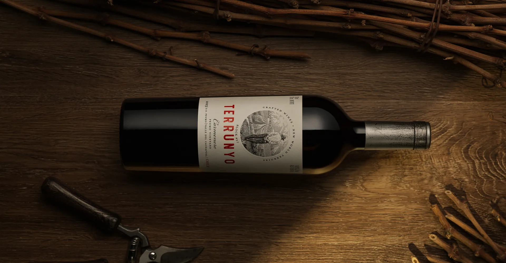 Terrunyo Carmenere 2023 among Wine Enthusiast’s Annual “Best of Year Buying Guide Issue”