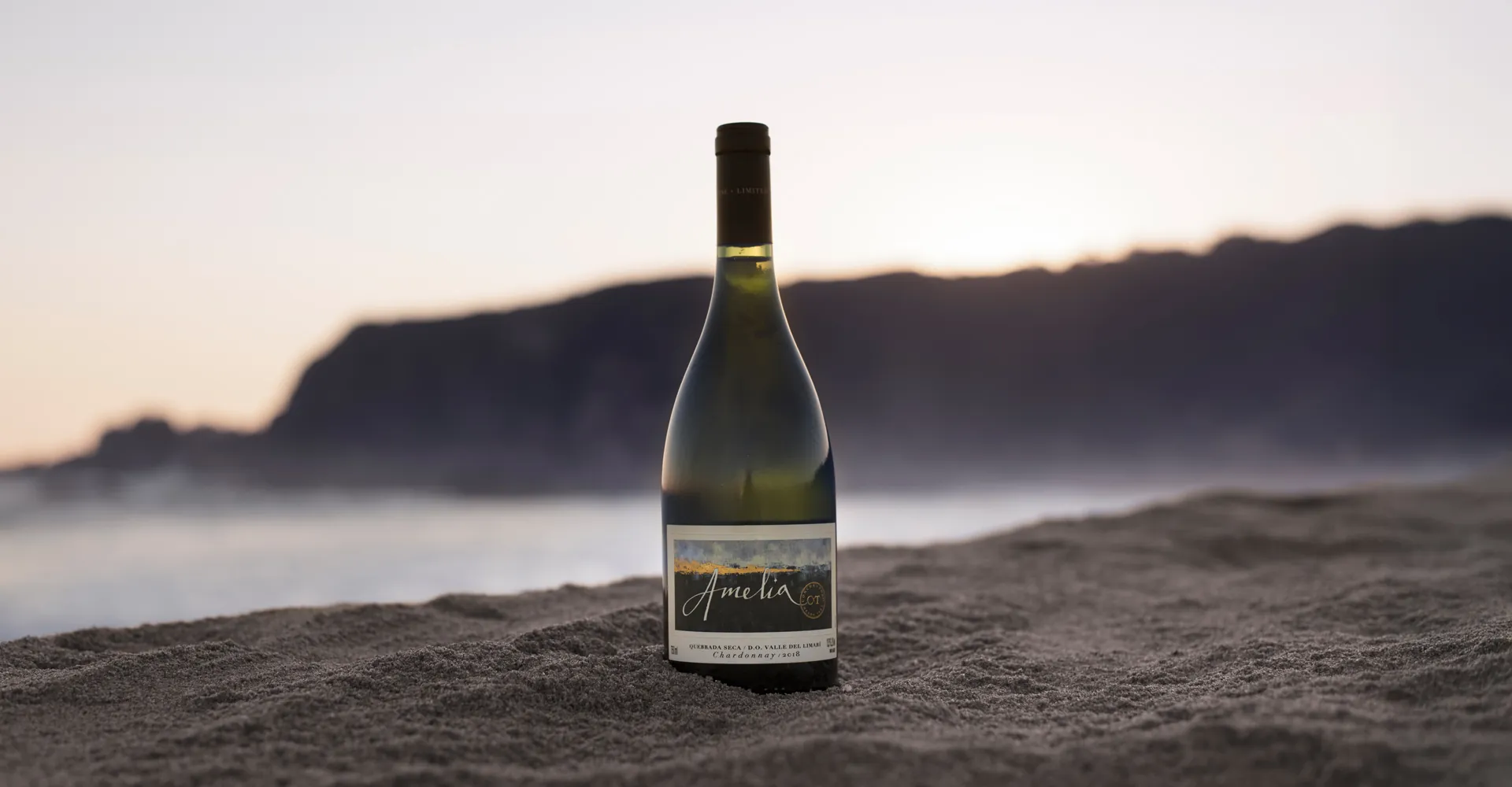 Amelia Chardonnay stands out among the TOP 100 Best Wines of 2025